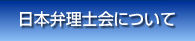 日本弁理士会について