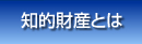 知的財産とは