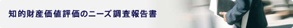 知的財産価値評価のニーズ調査報告書